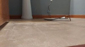 Linoleum- how to install , remove old sticky tile - remove toilet