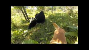 путешествие в фанагория