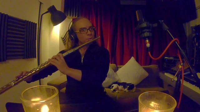 Adagio by Albinoni , смотреть онлайн