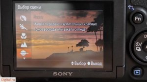 Sony Alpha SLT A58 скоростная камера для лета