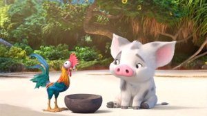 Disney Channel Russia ident - Moana #2