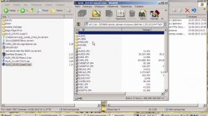 OPL белый экран (игра фрагментированна)