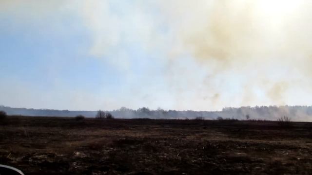 Пал травы Клушино смотреть онлайн