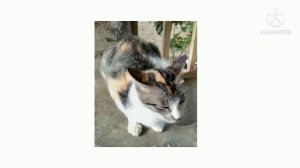 Dumb Ways To Die: With More Characters