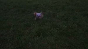 Прогулка в босоножках ?