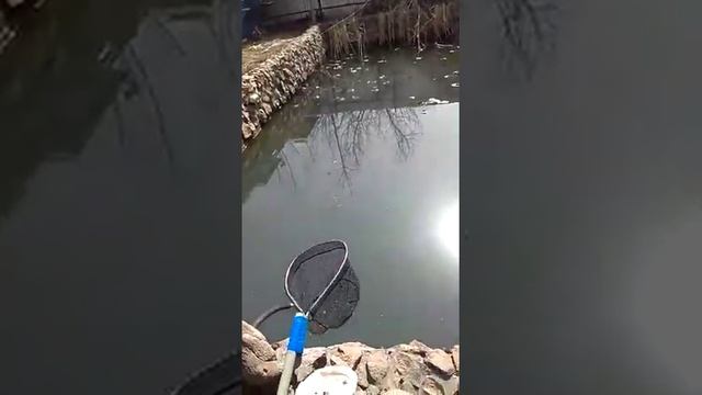 Для рыбалки дома
