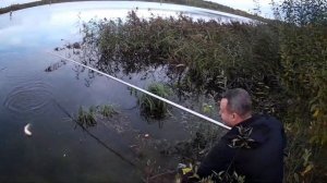 Ловля карася на поплавочную удочку осенью. Начало октября 2022г.