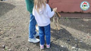 Спасибо за визит в приют! Шансята счастливы ❤