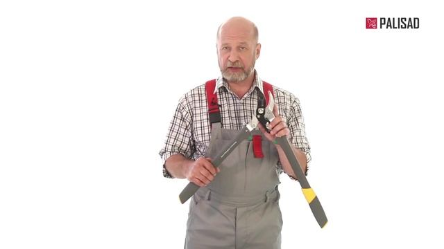 Обзор Сучкорез PALISAD 60586 смотреть онлайн