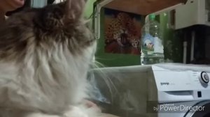 Гуляем и ломаем стиральную машинку)))