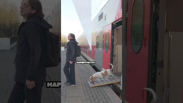 На край света с Линой и Беллой: Печенгский округ манит!
