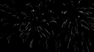 Фейерверк НОЧНАЯ ЖИЗНЬ веер 56 залпов (1,2''х56) FP-B326-1