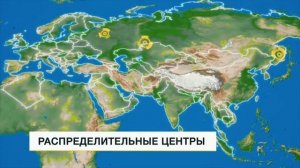 IEK GROUP  Энергия успеха