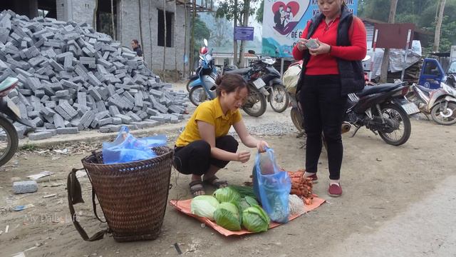 Harvest Allium chinense and cabbage bring to the market to sell.. My Daily Life Ep. 165 смотреть онлайн