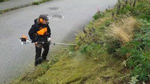 Stihl Kombi System KM 131 R With Trimmer FS KM