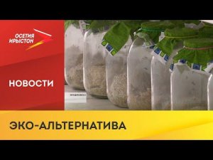 В филиале «Россельхозцентра» открыли биолабораторию по разведению полезных насекомых