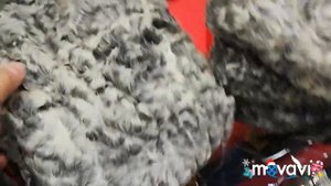 Обзор казачьей папахи из серого каракуля. Тип Б.