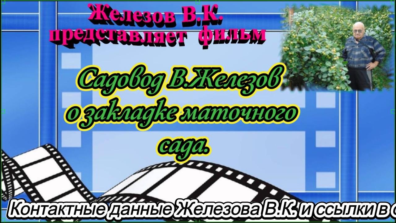 Садовод В.Железов о закладке маточного сада.