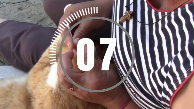 Эпилог нового Мира (Света) переосмысление концепции канала смотреть онлайн