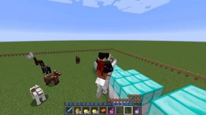 How to Make the BEST Possible Minecraft Horse!