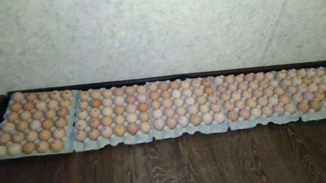 Наш вариант рецепта Краковская #колбаса , куриная #жизньвдеревне
