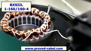 Станок двухсторонней обвязки обмоток статора BXSIIL1-160/160-4