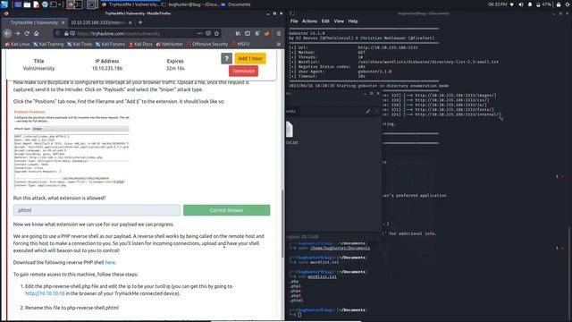 Try Hack Me Vulnversity Walkthrough Step by Step смотреть онлайн