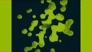 Какой то Пельмень С Глазками Csupo g major 6-10