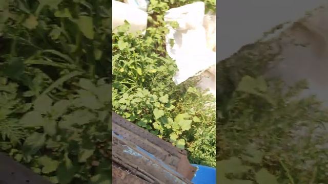 обзор на газ 3307 смотреть онлайн