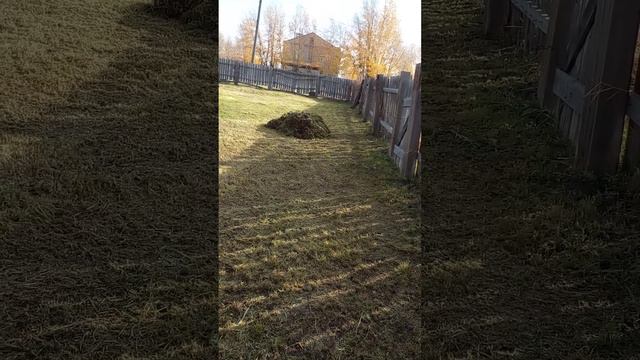 сад,огород,заготовка подстилки,сена,куры смотреть онлайн