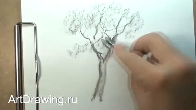 как нарисовать дерево смотреть онлайн