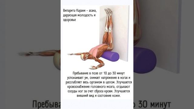 Простые решения для здоровья