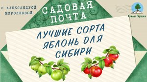 Садовая почта: Лучшие сорта яблонь для Сибири. Выпуск 15