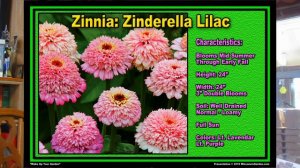 Seed Catalog Bonanza - Wisconsin Garden Video Blog 862