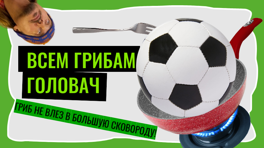 Всем грибам головач!