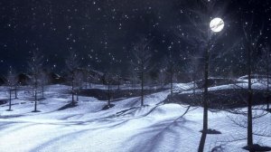Снег, луна.mp4