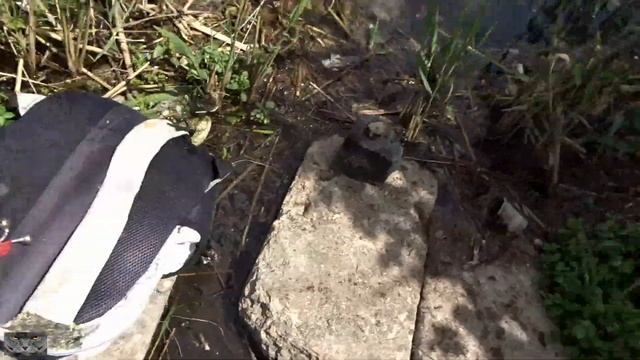 Ловля карася на поплавок.Хитрый карась!!!