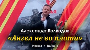 "Ангел не во плоти" Александр Волкодав - концерт "Салют Победы!" Щукино, Москва 6.05.24) #деньпобеды