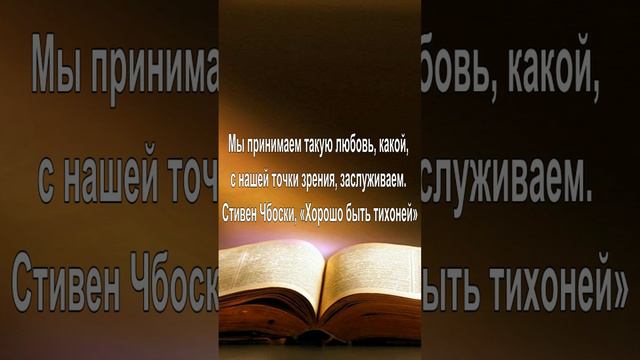 Мы принимаем такую любовь, какой, с нашей точки зрения, заслуживаем. — Стивен Чбоски