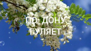 ПО ДОНУ ГУЛЯЕТ.