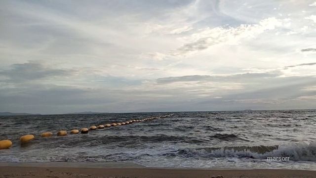 просто берег, набережная море. бабочки на воде