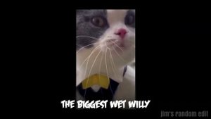 Big Billy X Post Malone ( Rockstar Cat Remix)