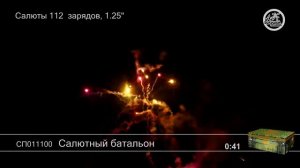 Салютный батальон СП011100 салют Большой праздник 2019г.