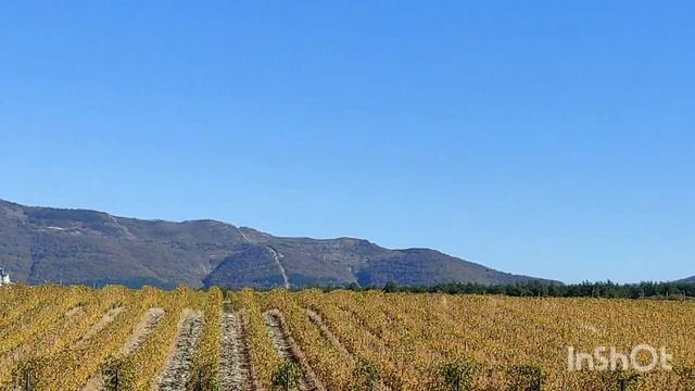 ШАТО де ТАЛЮ. ГРУППОВЫЕ ЭКСКУРСИИ В ПРЕКРАСНЫЙ ЗАМОК СРЕДИ ВИНОГРАДНИКОВ В ГЕЛЕНДЖИКЕ. смотреть онлайн