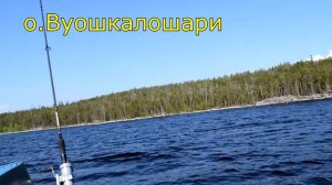 Отдых на Пяозере 2017. Часть 3. Идем на о.Вуошкалошари.