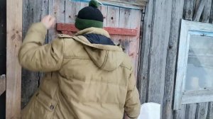 СКОЛЬКО МОЖНО ЗАРАБОТАТЬ НА 4 КОРОВАХ. ЗАТРАТЫ НА КОРМА И ЧИСТАЯ ПРИБЫЛЬ ЗА ДЕКАБРЬ.