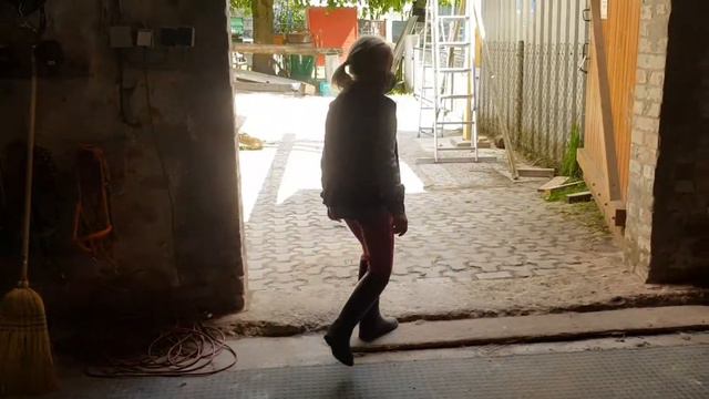 Hygieneregeln für unsere Reitschule смотреть онлайн