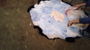 Выимка внутренних органов из туши барана.