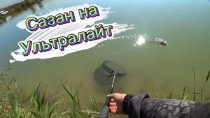 Сазан на ультралайт #top #рыбалка #2023 #карп #ультралайт #1k #спиннинг #fishing