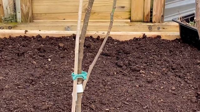 НАЧАЛИСЬ ВЕСЕННИЕ РАБОТЫ ? МАРТ 2021? VLOG SPRING JOBS IN THE GARDEN MARCH 2021 ?@Amond смотреть онлайн